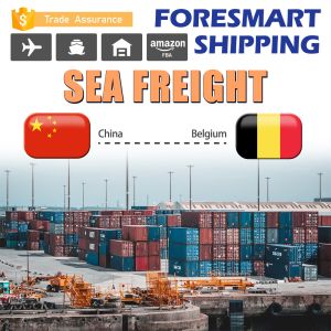 China 40HQ Shipping From China To Belgium FCL Sea Freight on sale