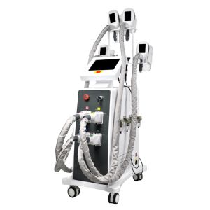 Fat Freeze Cryolipolysis Slimming Machine 800W OEM