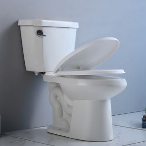 Jacuzzi Two Piece Ada Toilet Single Flush Siphonic 1000G MAP