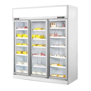 Vertical Commercial Freezer With Frameless Triple Glazed Glass Door