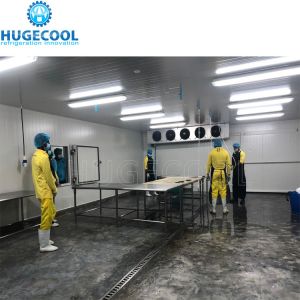 5HP Condensing Unit Cold Storage Room for Fish with Customized Request and