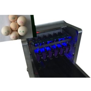 High Resolution Egg Printing Machine / Date Code Printing Machine