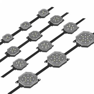 Led Pixel Module Light String DC 24v For Building Bridge Park Lighting LED Pixel