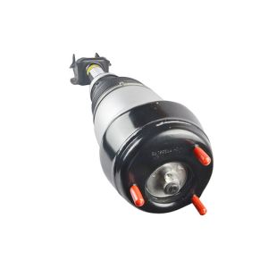A1663202513 Front Left Right Air Suspension Shock Absorber Strut Fit Mercedes