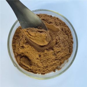 herbal sex medicine for men/cistanche tubulosa extract