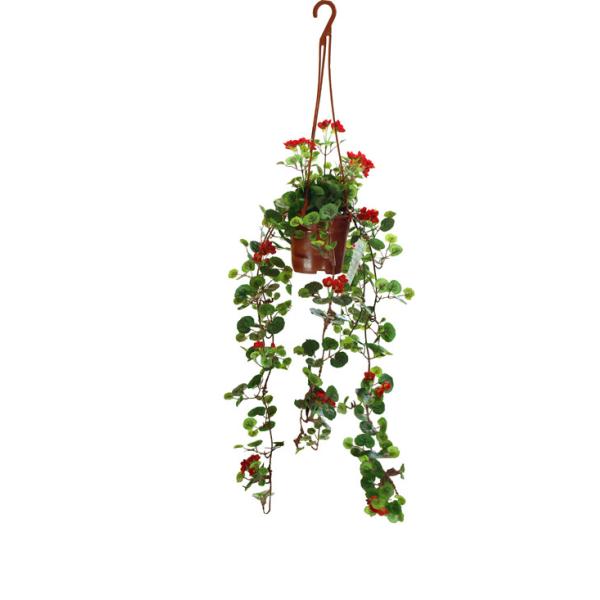 Buy High Simulation Hanging  60cm Artificial Begonia Plants Lifelike at wholesale prices