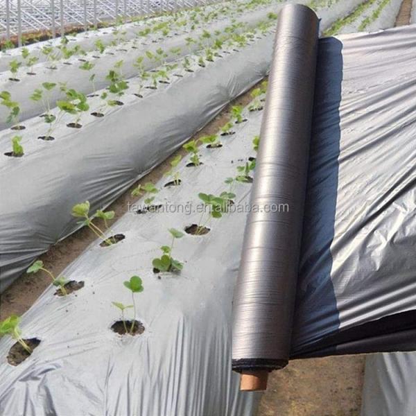 Customized Length Agricultural Ground Cover Film for Pineapple Growing Life Span 1-2 Years
