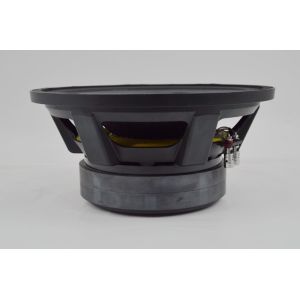 200x25mm Double Magnet 800W RMS 2KHz 12 Inch PA Subwoofer