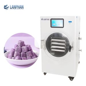China Lyophilizer Home Freeze Dryers With Vacuum Pump For Freeze Dried Coffee Milk Yogurt on sale
