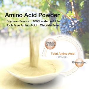 Quality 100% Water Soluble Free Amino Acids Organic Fertilizer For Hydroponic Cultivation for sale