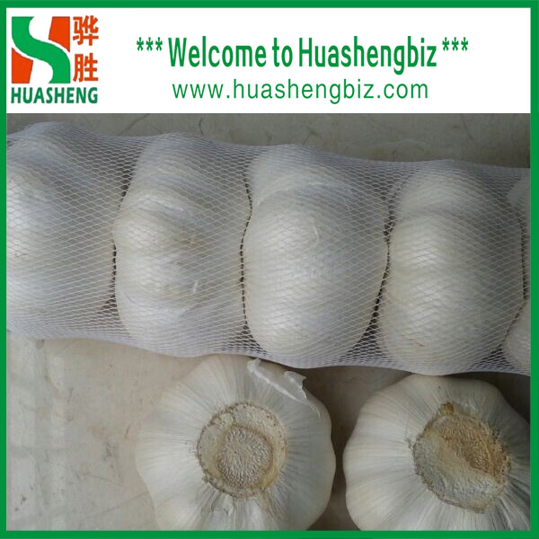 Buy Fresh Pure White Garlic at wholesale prices