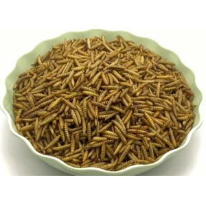 Origin Dried Black Soldier Fly - Insect with 1 Year Shelf Life