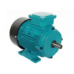 IP55 ICO141 Cooling 22KW 30HP 3 Phase Induction Motor