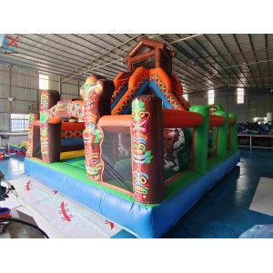 Inflatble Exotic Bouncy House With Internal Slide Combo Jumping Castle