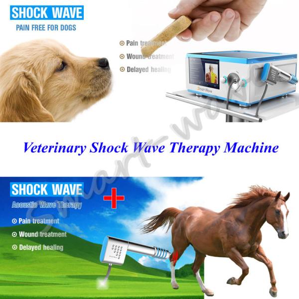 Radial shockwave small animal shockwave physical therapy veterinary shock wave therapy for horse treatment