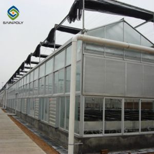 Garden Transparent Exhibition 10mm PC Sheet Greenhouse