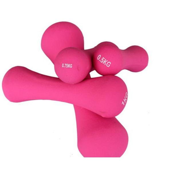 Neoprene Coated Dumbbell Weights,Bone Type Small Dumbbells Weight for Home and