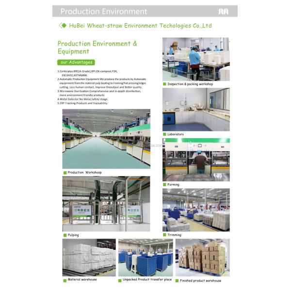 FREE PLASTIC 2021 Eco friendly tableware Pulp tableware Biodegradable food container