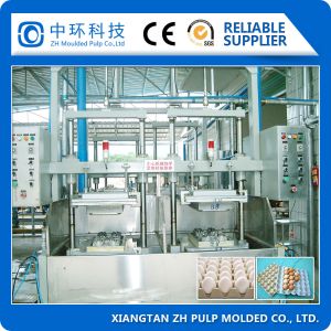 Biodegradable Pulp Thermoforming Machine