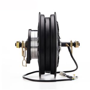 10 Inch Water Cooled Brushless DC Motor