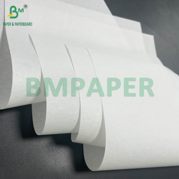 Roll 884mm 1017mm 40gsm Woodfree Paper For Leaflet and Booklet Printing