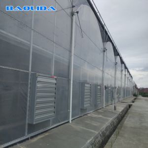 PE Film Covering Heavy Duty Plastic Greenhouse / Prefabricated Poly Tech