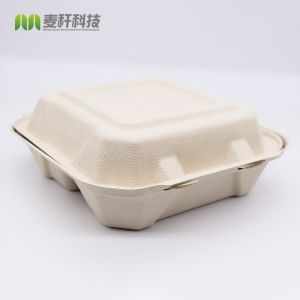 Eco-friendly Custom 3 Compartment Bagasse Disposable Bento Lunch Box