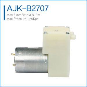 high flow rate mini vacuum pump