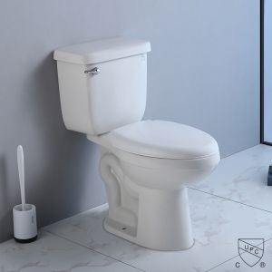 Compact Two Piece Toilet Wall Hung Space Saver 720x400x800mm