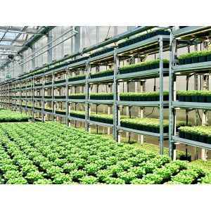 IP65 Aluminum Vertical Farm ETL 400w LED Grow Light