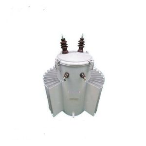Pole Mounted Single Phase Oil Immersed 25kv Distribution Transformer Manufacture