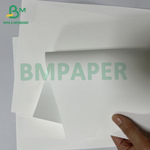 Smooth 180 Mic Anti - allergic Medical Thermal Synthetic Paper Sheet