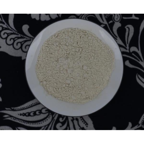 Buy GMO Free Dehydrated Ginger Powder 120mesh 100mesh Low Bac at wholesale prices