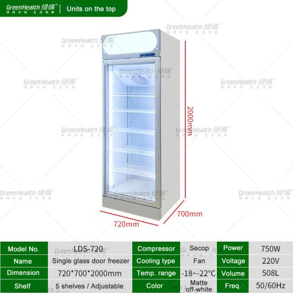 Icecream / Meat Display Commercial Upright Glass Freezer Plug In