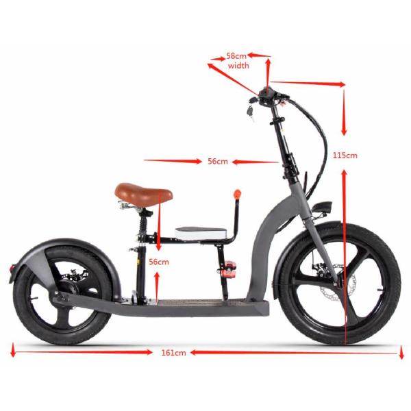 36-48V Electric Scooter Cycle With Removable Battery 30km/H