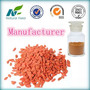 suppliers ISO & HACCP wolfberry extract powder