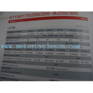 170FMN NT300 Twin cylinder 4stroke ail cool Vertical Exterior balance shaft