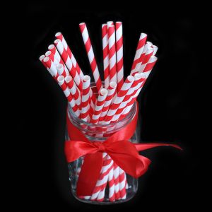 Food Grade Recyclable Biodegradable Paper Straws Printed Eco Friendly