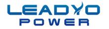China Shenzhen Leadyo Technology Co., Ltd. logo