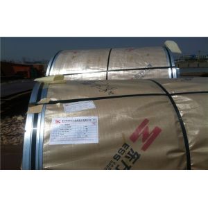 hot rolled 304 / 304L stainless steel coils