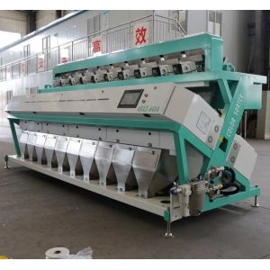 CCD Nuts Pumpkin Seeds Sorting Machine Full Color