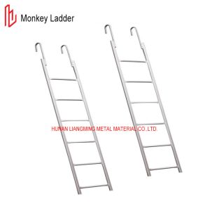 Q235 Pre Galvanized Cat Ladder For Frame Scaffolding System