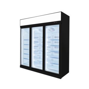 Commercial Visible Glass Door Freezer with 5 adjustable shelves