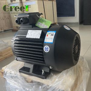 220V 750W-5MW Torque Permanent Magnet Electric Motor With Variable Feequency Drive