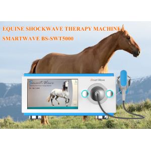 Physiotherapy Race Horses Shockwave Therapy Machine