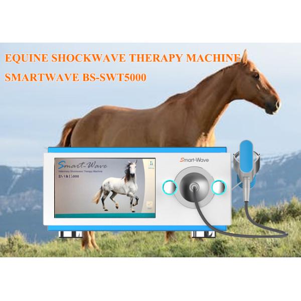 Physiotherapy Race Horses Shockwave Therapy Machine