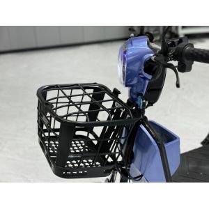 L1-B 350W Electric Two-Wheeler