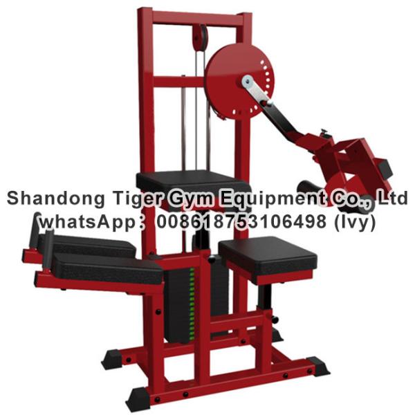 Buy Single Station Gym fitness equipment machine Glute Extension exercise machine at wholesale prices