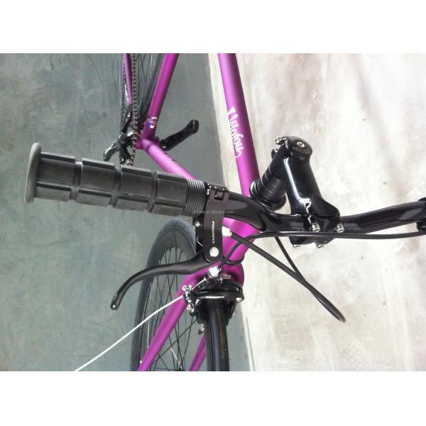 700C Fixed Gear Bicycle with Caliper Brake and Hi-Ten Steel Frame OEM Parts USA CE UL