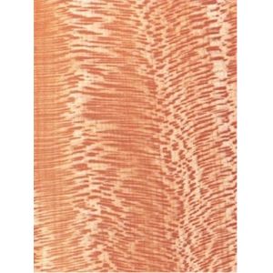 China Quartered Lacewood Veneer, LACEWOOD FRANCE on sale